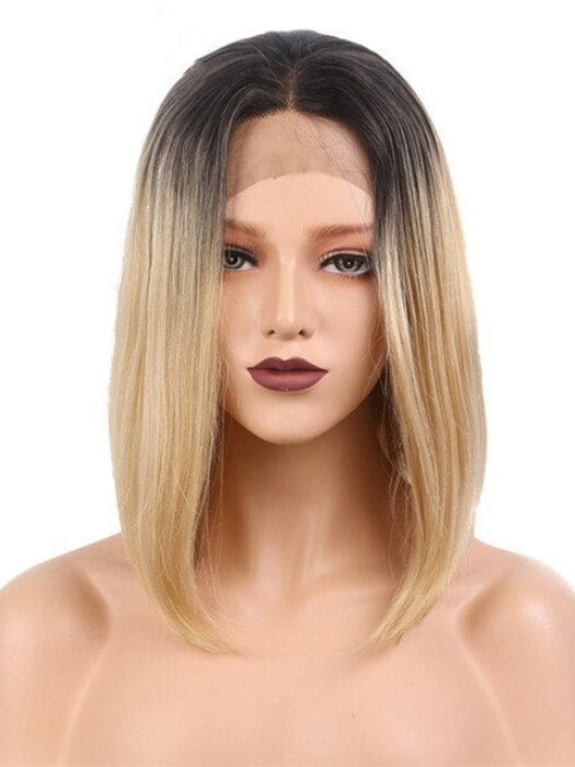 Kate Lace Front Wigs Shoulder Straight Length Synthetic Wigs